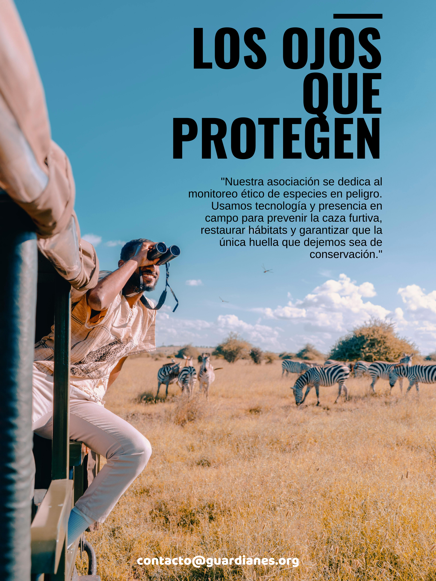 Proveedor 3