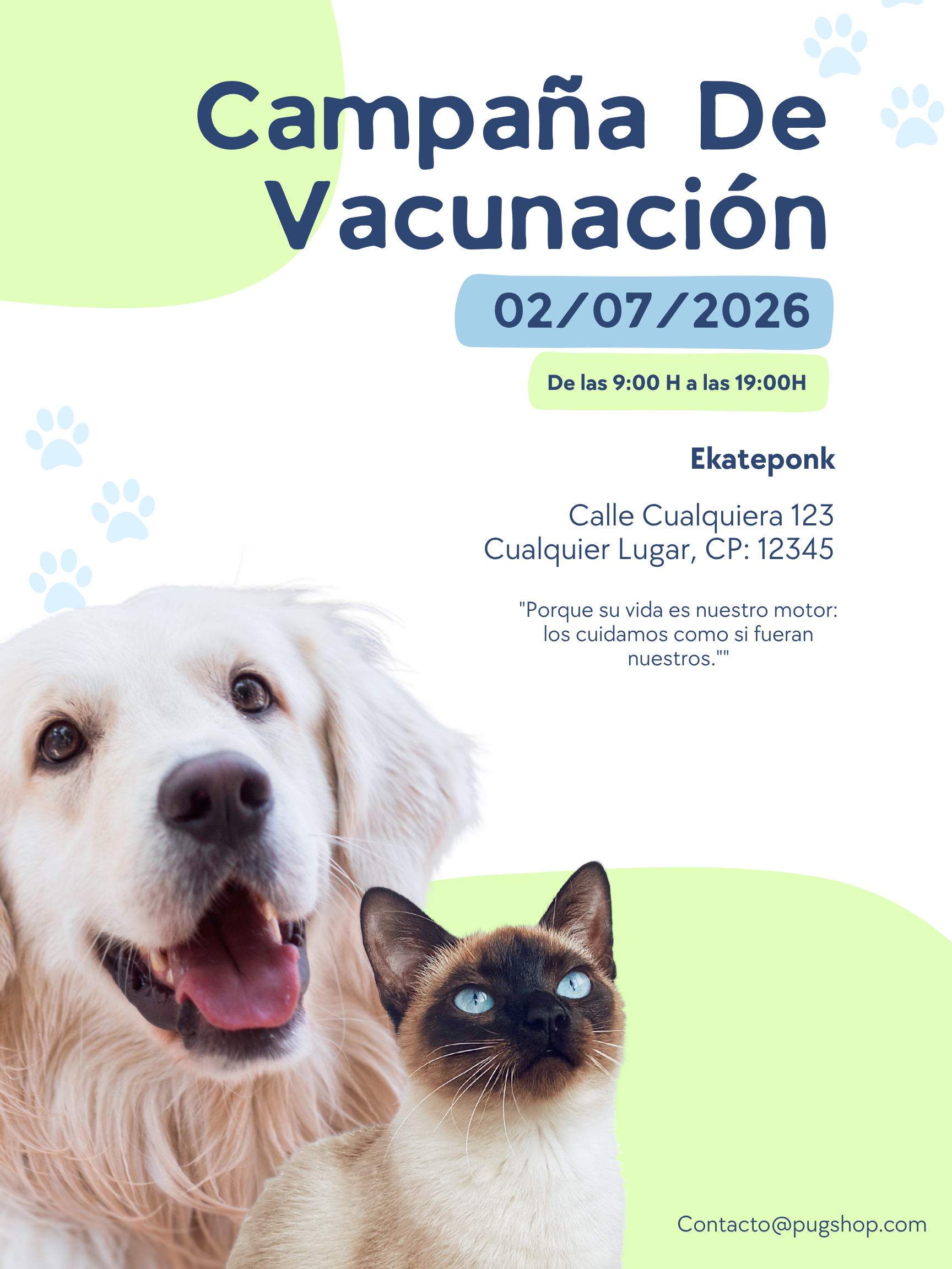 Campaña 3